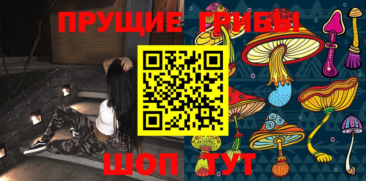 Псилоцибиновые грибы мицелий Новоалександровск